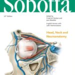 خرید و دانلود نسخه کامل کتاب Sobotta Atlas of Anatomy Head, Neck and Neuroanatomy