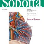 خرید و دانلود نسخه کامل کتاب Sobotta Atlas of Anatomy Internal Organs