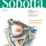 خرید و دانلود نسخه کامل کتاب Sobotta Atlas of Anatomy, Vol. 3, 16th ed., English/Latin: Head, Neck and Neuroanatomy