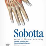 خرید و دانلود نسخه کامل کتاب Sobotta Atlas of Human Anatomy, Vol.1: General Anatomy and Musculoskeletal System
