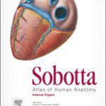 خرید و دانلود نسخه کامل کتاب Sobotta Atlas of Human Anatomy, Vol. 2: Internal Organs