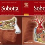 خرید و دانلود نسخه کامل کتاب Sobotta Atlas of Human Anatomy Volume 1-2