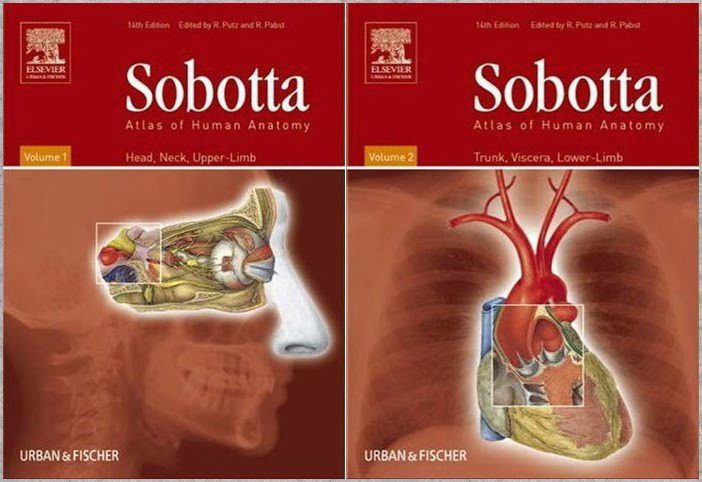خرید و دانلود نسخه کامل کتاب Sobotta Atlas of Human Anatomy Volume 1-2_68b7664ae2935.jpeg خرید و دانلود نسخه کامل کتاب Sobotta Atlas of Human Anatomy Volume 1-2