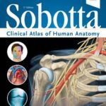 خرید و دانلود نسخه کامل کتاب Sobotta Clinical Atlas of Human Anatomy, one volume, English