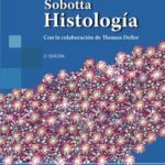 خرید و دانلود نسخه کامل کتاب Sobotta. Histología. Con La Colaboración De Thomas Deller (3ª Edición)