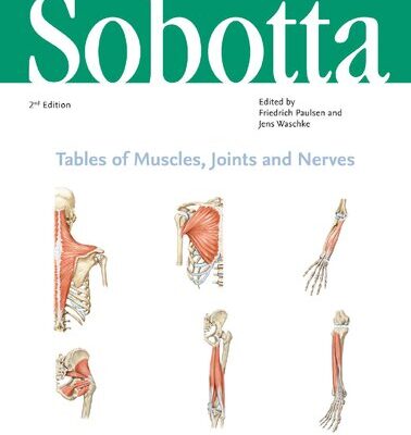 خرید و دانلود نسخه کامل کتاب Sobotta Tables of Muscles, Joints and Nerves, English/Latin: Tables to 16th ed. of the Sobotta Atlas