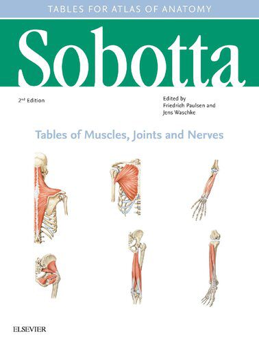خرید و دانلود نسخه کامل کتاب Sobotta Tables of Muscles, Joints and Nerves, English/Latin: Tables to 16th ed. of the Sobotta Atlas_68b92e22f0273.jpeg خرید و دانلود نسخه کامل کتاب Sobotta Tables of Muscles, Joints and Nerves, English/Latin: Tables to 16th ed. of the Sobotta Atlas