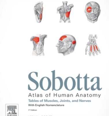 خرید و دانلود نسخه کامل کتاب Sobotta – Tables of Muscles, Joints and Nerves
