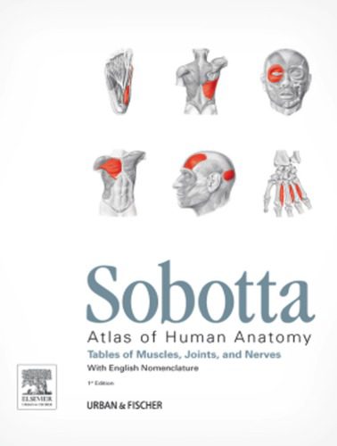 خرید و دانلود نسخه کامل کتاب Sobotta – Tables of Muscles, Joints and Nerves_68b92990702bb.jpeg خرید و دانلود نسخه کامل کتاب Sobotta – Tables of Muscles, Joints and Nerves