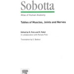 خرید و دانلود نسخه کامل کتاب Sobotta – Tables of Muscles, Joints and Nerves