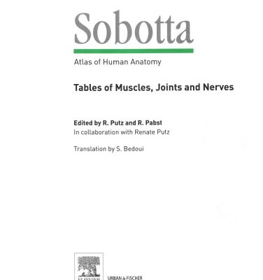 خرید و دانلود نسخه کامل کتاب Sobotta – Tables of Muscles, Joints and Nerves