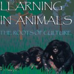 خرید و دانلود نسخه کامل کتاب Social Learning In Animals: The Roots of Culture