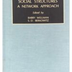 خرید و دانلود نسخه کامل کتاب Social Structures A Network Approach