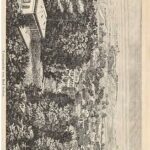خرید و دانلود نسخه کامل کتاب Soden am Taunus. Ein Rathgeber [Ratgeber] und Führer während des Kurgebrauches