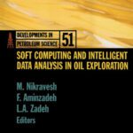 خرید و دانلود نسخه کامل کتاب Soft Computing and Intelligent Data Analysis in Oil Exploration