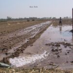 خرید و دانلود نسخه کامل کتاب Soil Physics. Lecture Notes