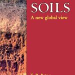 خرید و دانلود نسخه کامل کتاب Soils: A New Global View