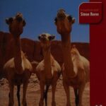 خرید و دانلود نسخه کامل کتاب Somaliland: with Addis Ababa & Eastern Ethiopia: The Bradt Travel Guide