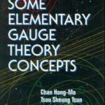 خرید و دانلود نسخه کامل کتاب Some Elementary Gauge Theory Concepts