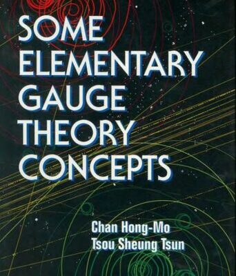 خرید و دانلود نسخه کامل کتاب Some Elementary Gauge Theory Concepts
