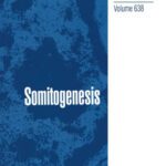 خرید و دانلود نسخه کامل کتاب Somitogenesis