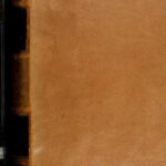 خرید و دانلود نسخه کامل کتاب Spanish explorations and settlements in America from the fifteenth to the seventeenth century