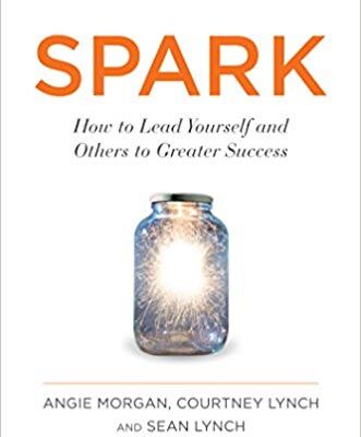 خرید و دانلود نسخه کامل کتاب Spark: How to Lead Yourself and Others to Greater Success
