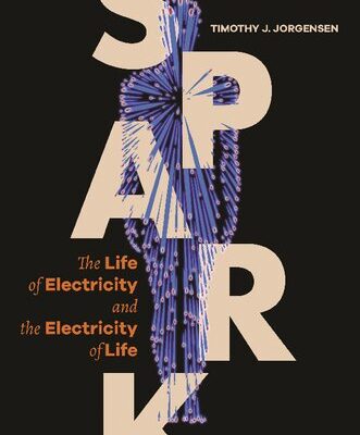 خرید و دانلود نسخه کامل کتاب Spark: The Life of Electricity and the Electricity of Life