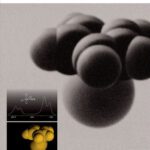 خرید و دانلود نسخه کامل کتاب Spectra of Atoms and Molecules