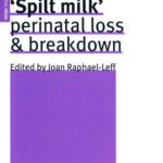 خرید و دانلود نسخه کامل کتاب Spilt Milk: Perinatal Loss & Breakdown