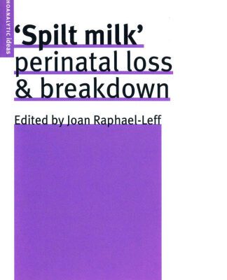 خرید و دانلود نسخه کامل کتاب Spilt Milk: Perinatal Loss & Breakdown