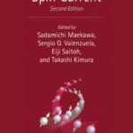 خرید و دانلود نسخه کامل کتاب Spin Current