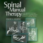 خرید و دانلود نسخه کامل کتاب Spinal Manual Therapy: An Introduction to Soft Tissue Mobilization, Spinal Manipulation, Therapeutic and Home Exercises