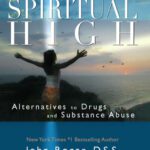 خرید و دانلود نسخه کامل کتاب Spiritual High: Alternatives to Drugs and Substance Abuse
