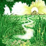 خرید و دانلود نسخه کامل کتاب Spiritual Properties of Herbs
