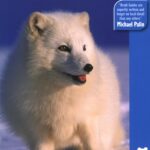 خرید و دانلود نسخه کامل کتاب Spitsbergen: Svalbard, Franz Josef Land, Jan Mayen (Bradt Travel Guides)