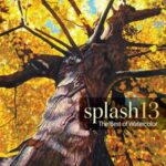 خرید و دانلود نسخه کامل کتاب Splash 13: Alternative Approaches
