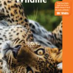 خرید و دانلود نسخه کامل کتاب Sri Lankan Wildlife