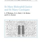 خرید و دانلود نسخه کامل کتاب St. Mary Bishophill Junior and St. Mary Castlegate