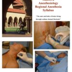 خرید و دانلود نسخه کامل کتاب Stanford Department of Anesthesiology Regional Anesthesia Syllabus Introduction
