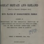 خرید و دانلود نسخه کامل کتاب Stanford Geological Atlas Of Great Britain And Ireland -1907