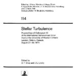 خرید و دانلود نسخه کامل کتاب Stellar Turbulence