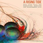 خرید و دانلود نسخه کامل کتاب Stem Cell Therapy: A Rising Tide: How Stem Cells Are Disrupting Medicine and Transforming Lives
