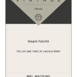 خرید و دانلود نسخه کامل کتاب Stepin Fetchit The Life and Times of Lincoln Perry