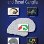 خرید و دانلود نسخه کامل کتاب Stereotactic Atlas of the Human Thalamus and Basal Ganglia