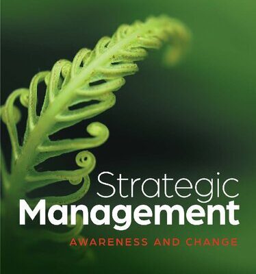 خرید و دانلود نسخه کامل کتاب Strategic Management Awareness and Change