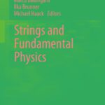 خرید و دانلود نسخه کامل کتاب Strings and fundamental physics