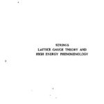 خرید و دانلود نسخه کامل کتاب Strings, Lattice Gauge Theory and High Energy Phenomenology
