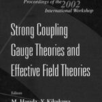 خرید و دانلود نسخه کامل کتاب Strong coupling gauge theories and effective field theories: proceedings of the 2002 international workshop