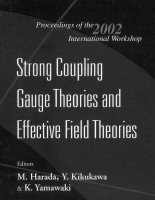 خرید و دانلود نسخه کامل کتاب Strong coupling gauge theories and effective field theories: proceedings of the 2002 international workshop